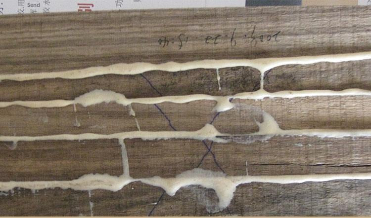GW-1506 D4 Specialty Panel Joint Glue for Oily Hardwood Bonding